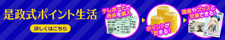是政式ポイント生活
